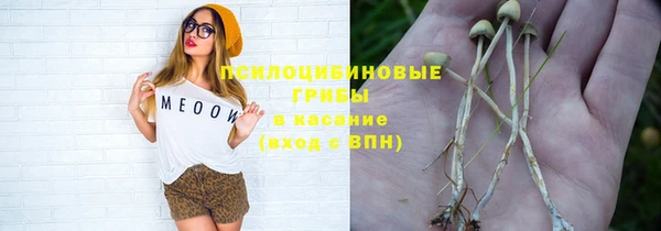 ECSTASY Заволжск
