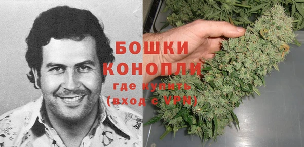 шишки Елабуга