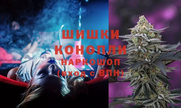 бошки Заводоуковск
