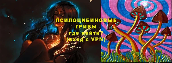 шишки Елабуга