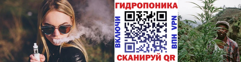 Купить  Инта  Бошки марихуана OG Kush 